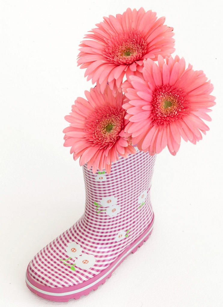flower--10
