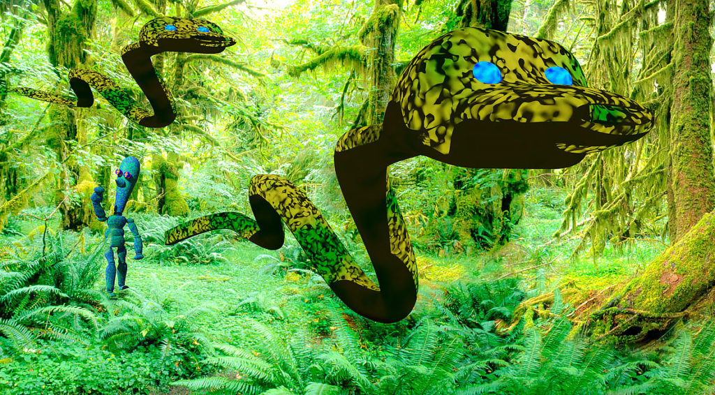 rainforest2