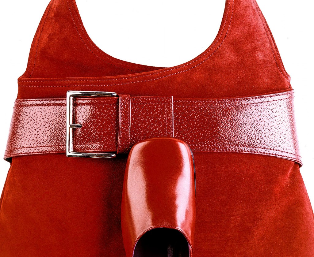 red-purse-and-shoe