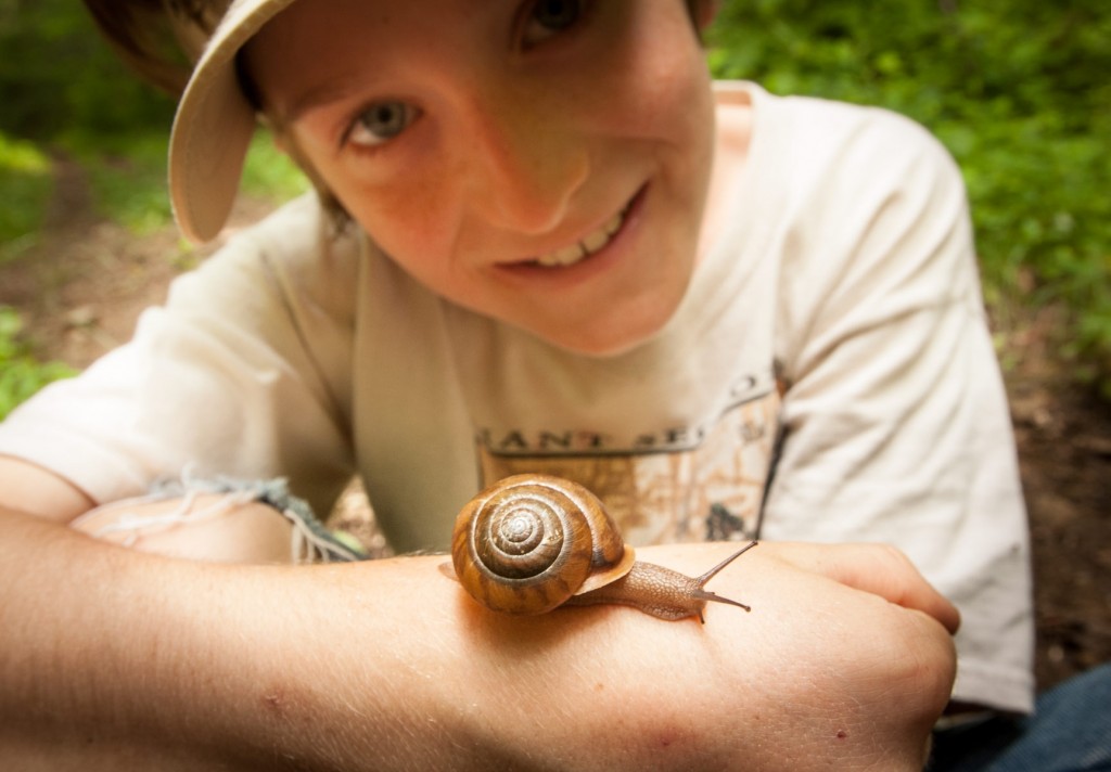 snail