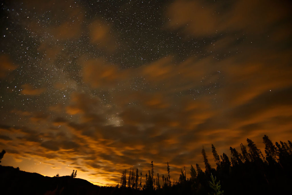 stars