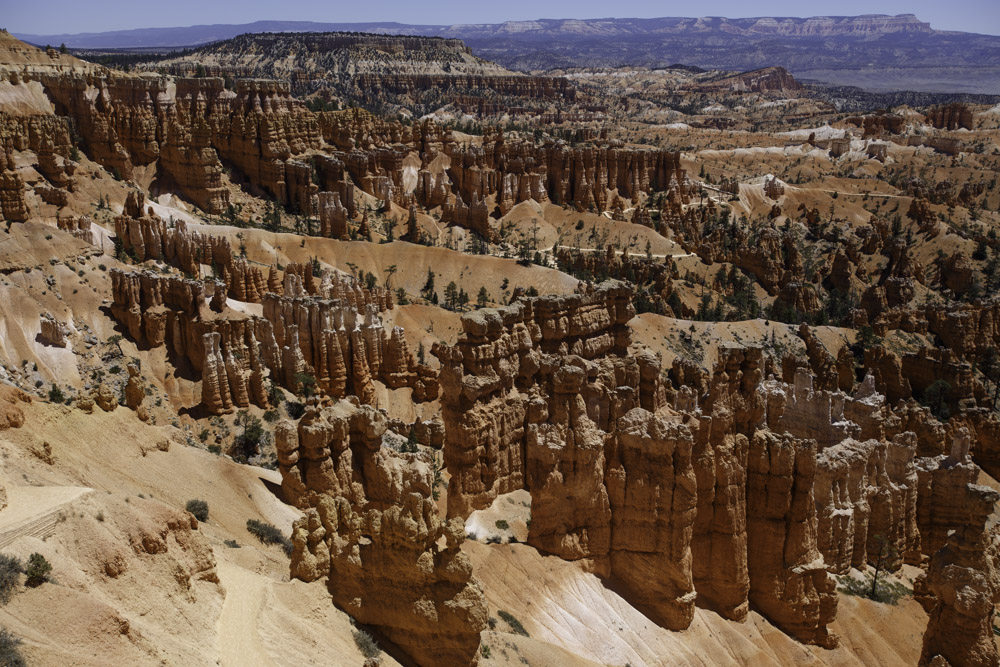 Utah_2018-19