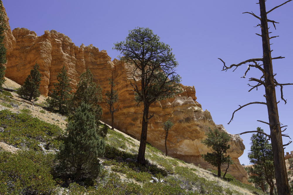 Utah_2018-23