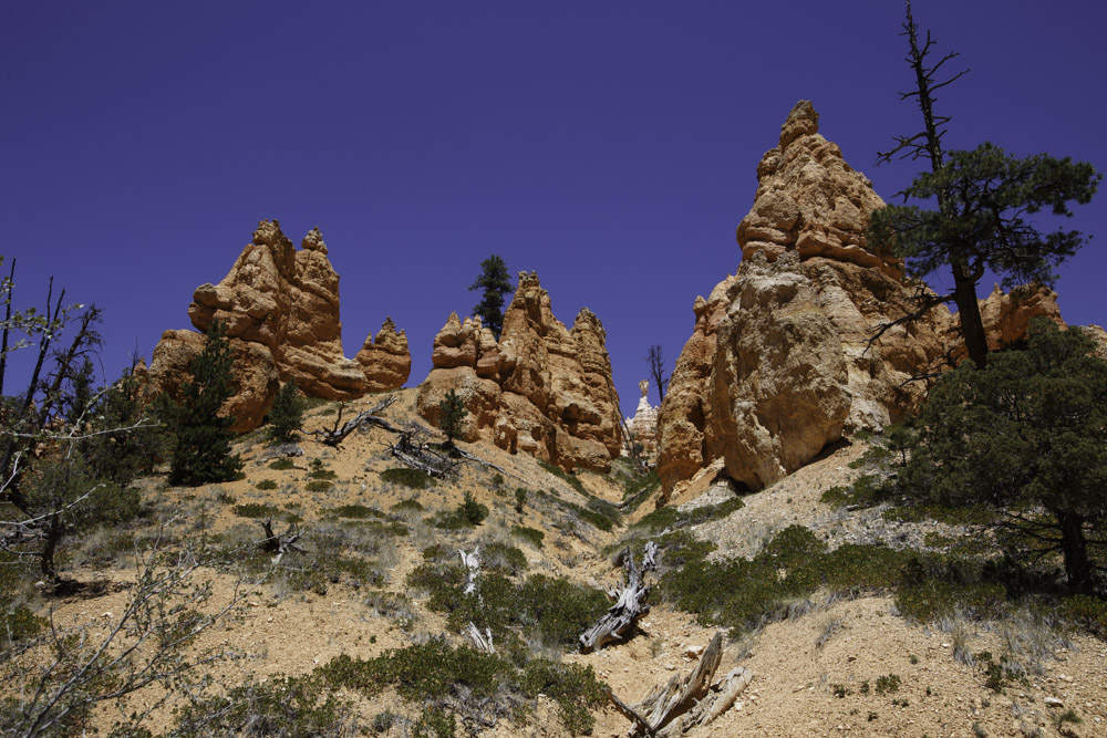 Utah_2018-24