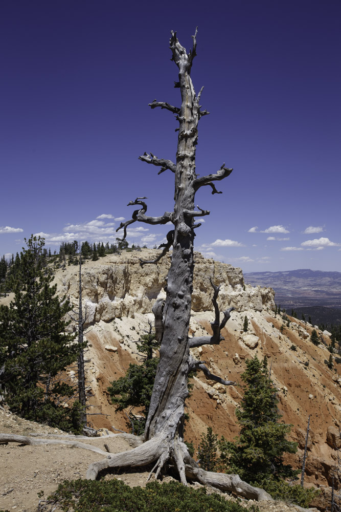 Utah_2018-26